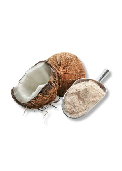 Farinha de Coco Branca Sem Glúten 200gr Vitalwe