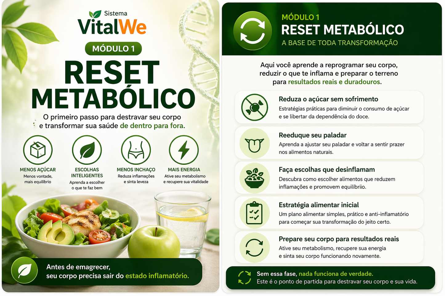 Sistema VitalWe™ – Método Completo para Desinflamar, Desintoxicar e Emagrecer com Saúde