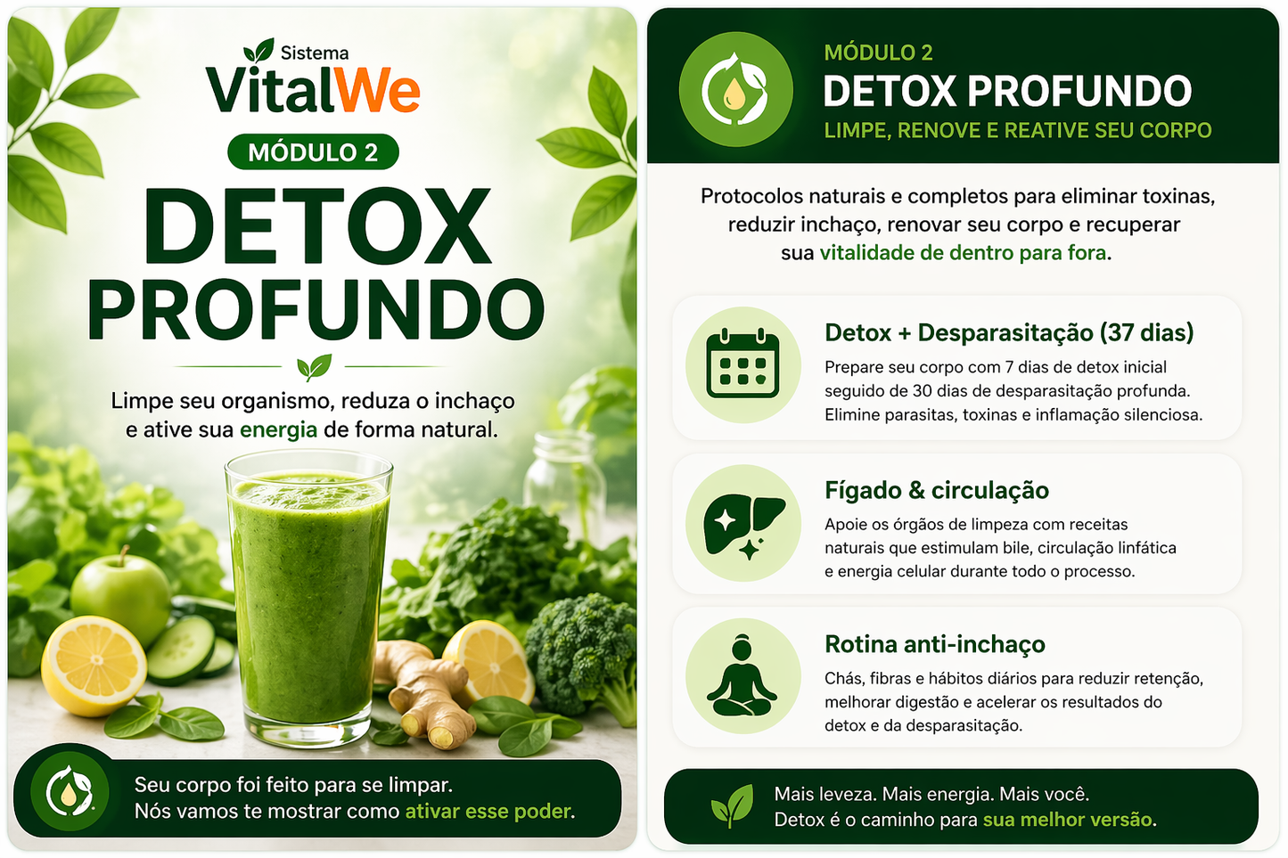 Sistema VitalWe™ – Método Completo para Desinflamar, Desintoxicar e Emagrecer com Saúde