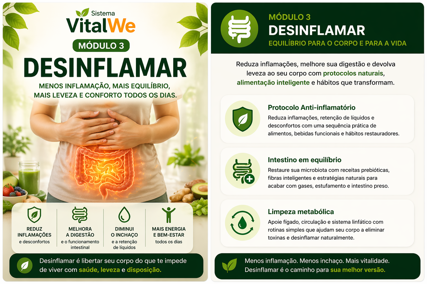 Sistema VitalWe™ – Método Completo para Desinflamar, Desintoxicar e Emagrecer com Saúde